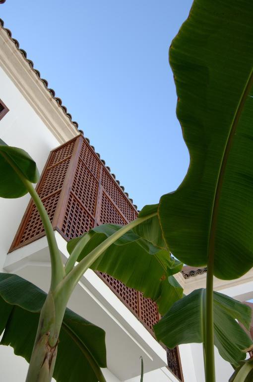 מרקש Riad Up מראה חיצוני תמונה